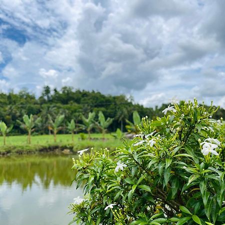 Jazz Ferme Inn Batuan Bohol Exteriér fotografie