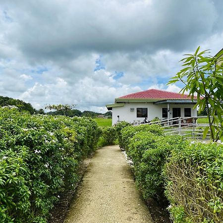Jazz Ferme Inn Batuan Bohol Exteriér fotografie