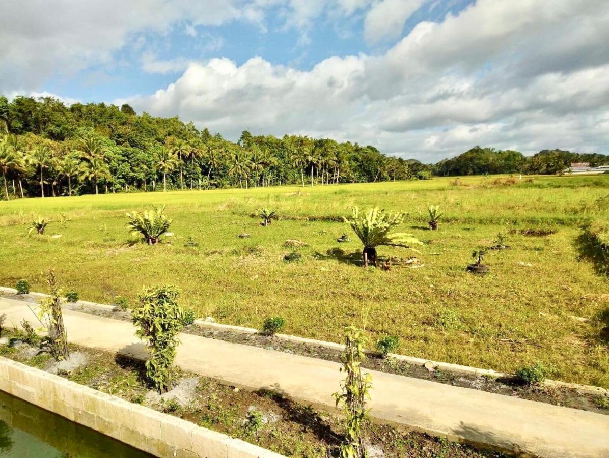 Jazz Ferme Inn Batuan Bohol Exteriér fotografie