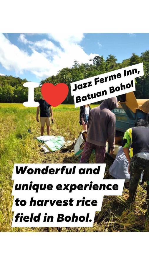 Jazz Ferme Inn Batuan Bohol Exteriér fotografie