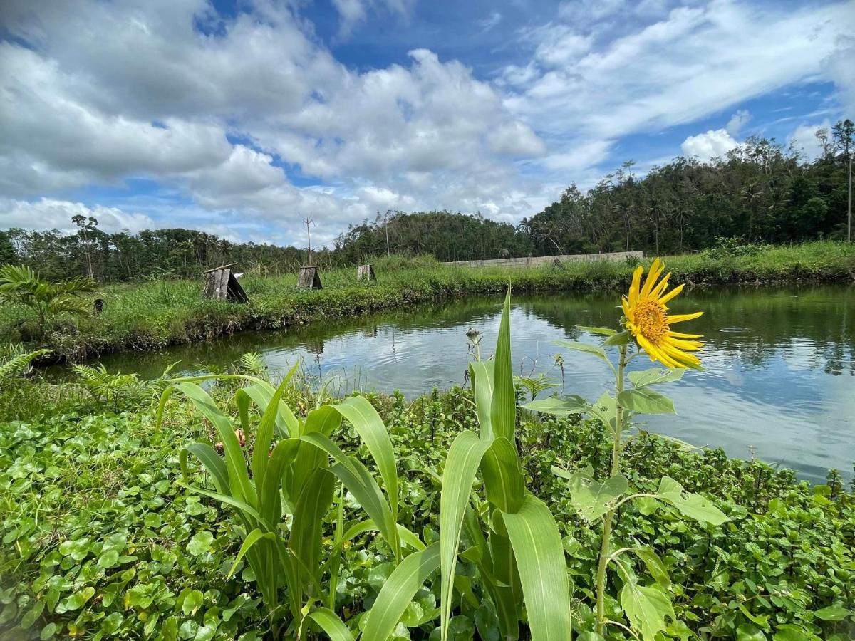 Jazz Ferme Inn Batuan Bohol Exteriér fotografie