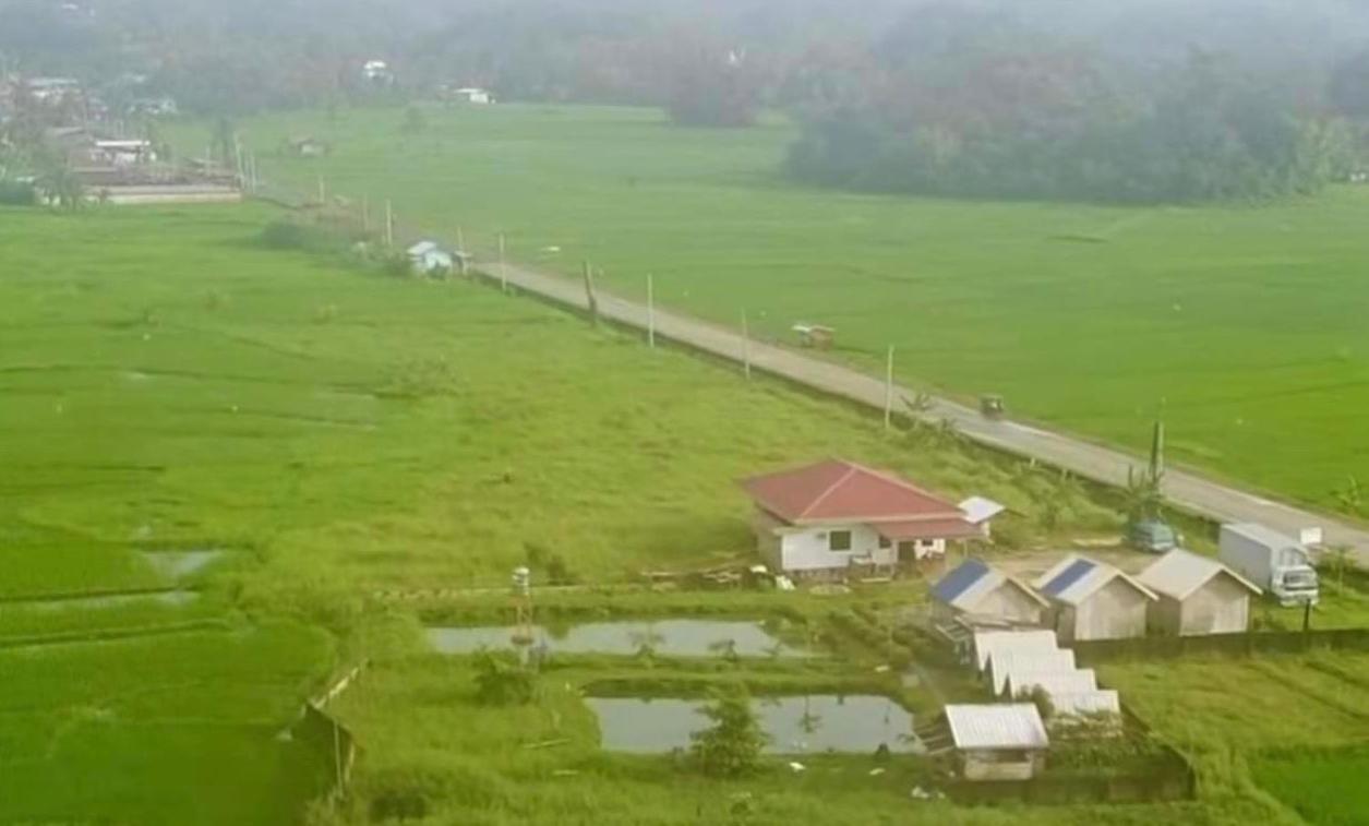 Jazz Ferme Inn Batuan Bohol Exteriér fotografie