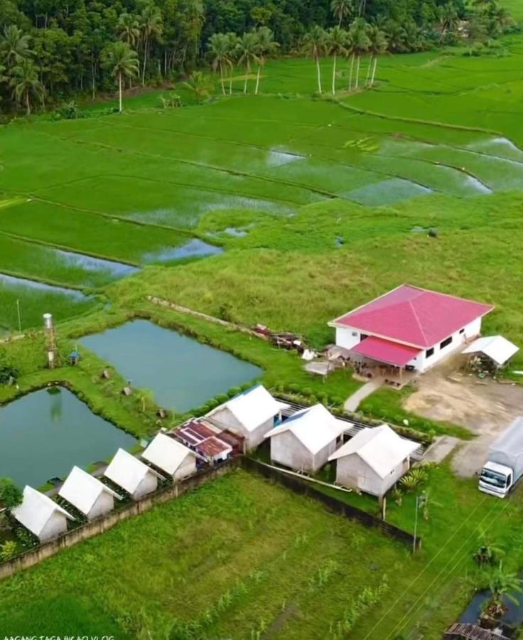 Jazz Ferme Inn Batuan Bohol Exteriér fotografie