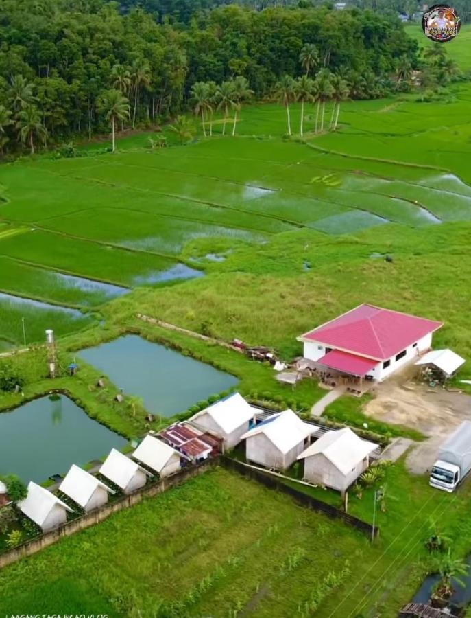 Jazz Ferme Inn Batuan Bohol Exteriér fotografie