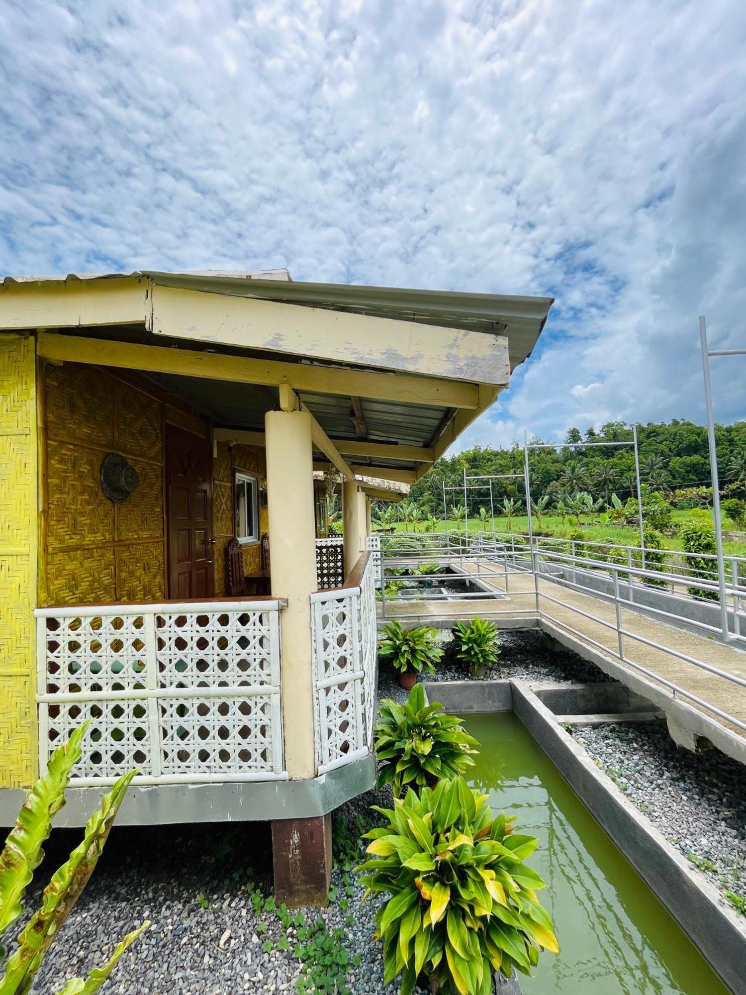 Jazz Ferme Inn Batuan Bohol Exteriér fotografie