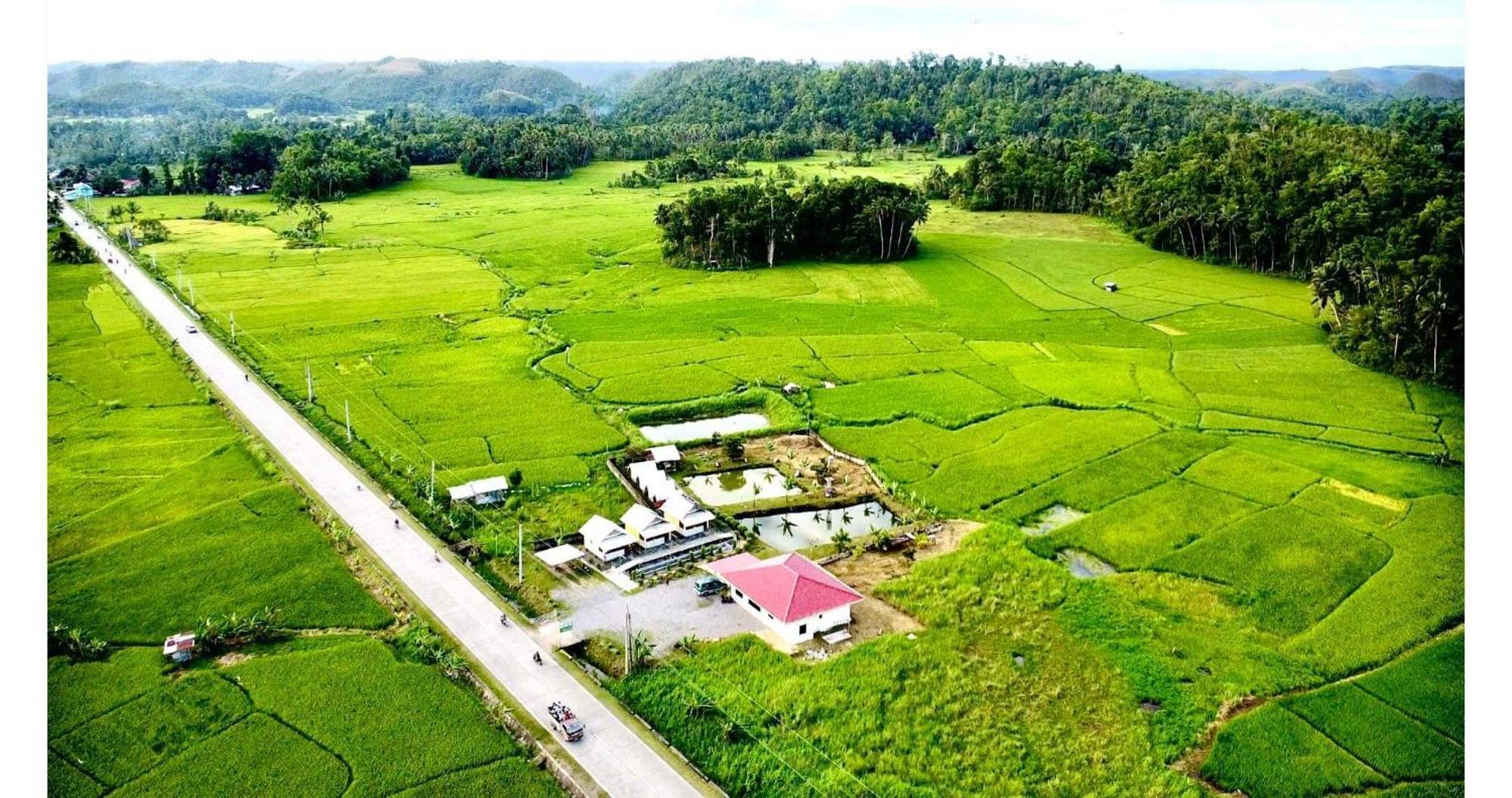 Jazz Ferme Inn Batuan Bohol Exteriér fotografie