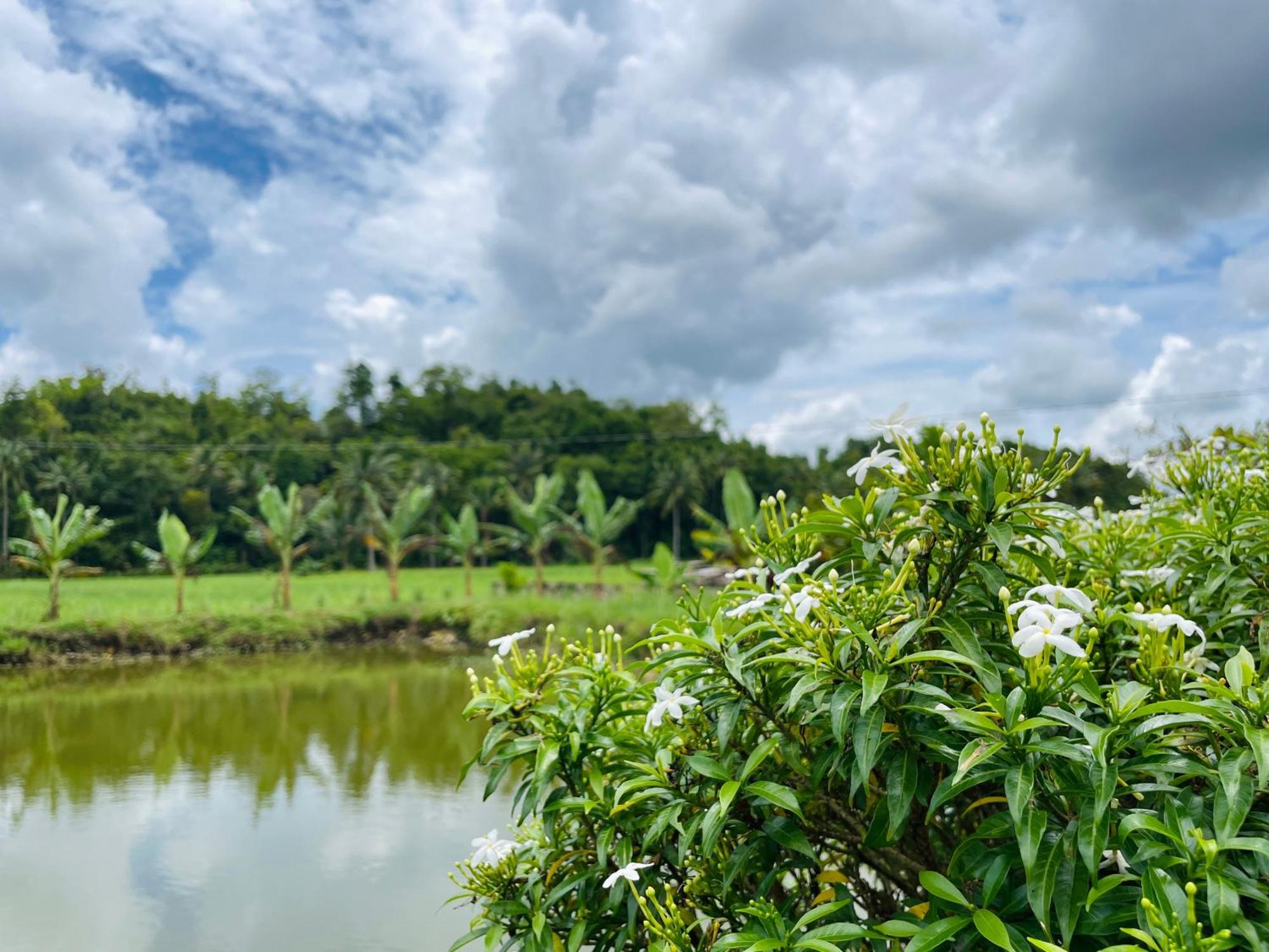 Jazz Ferme Inn Batuan Bohol Exteriér fotografie
