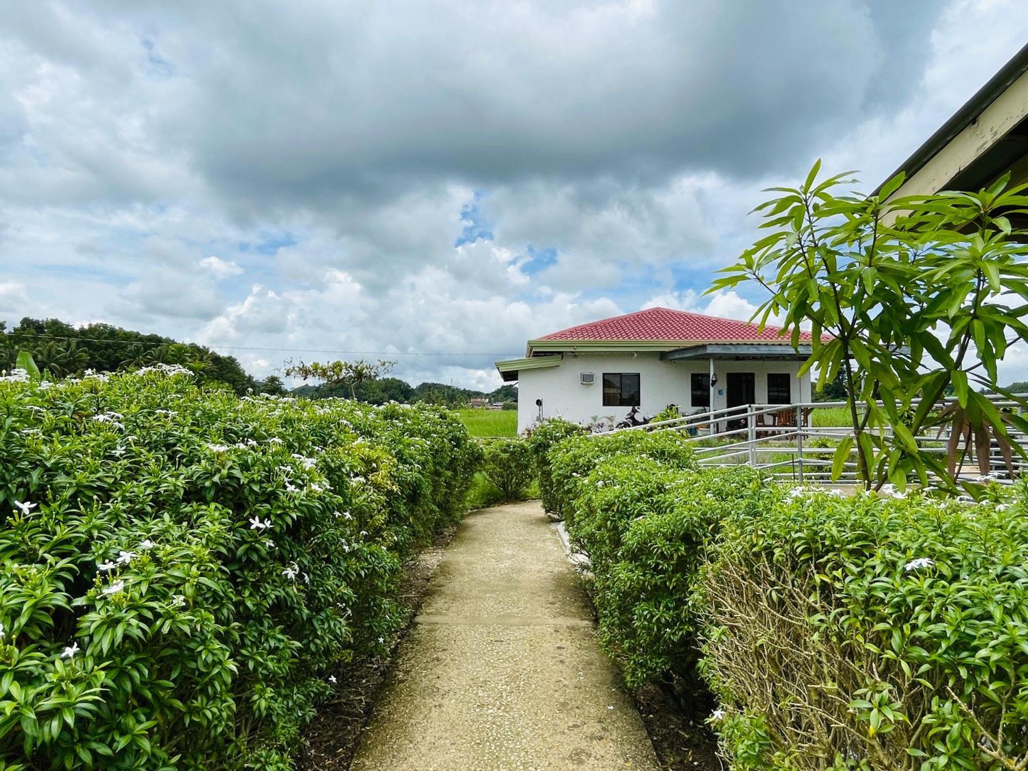 Jazz Ferme Inn Batuan Bohol Exteriér fotografie