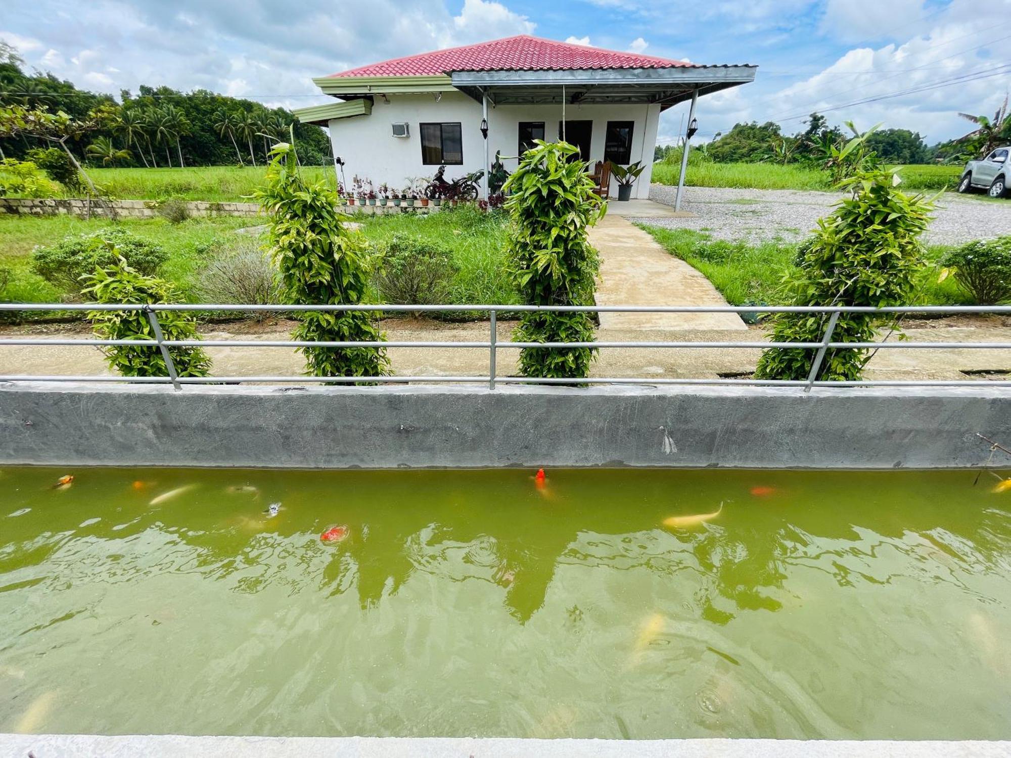 Jazz Ferme Inn Batuan Bohol Exteriér fotografie