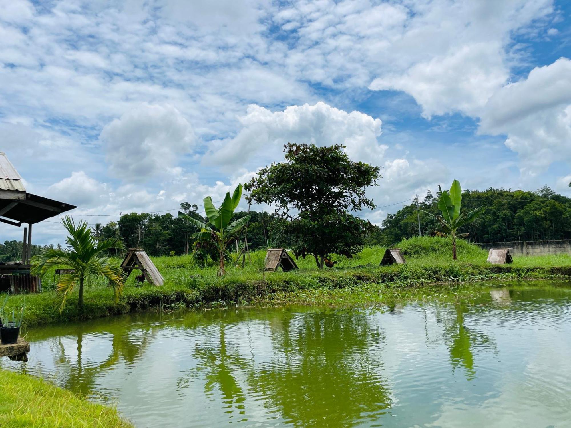 Jazz Ferme Inn Batuan Bohol Exteriér fotografie