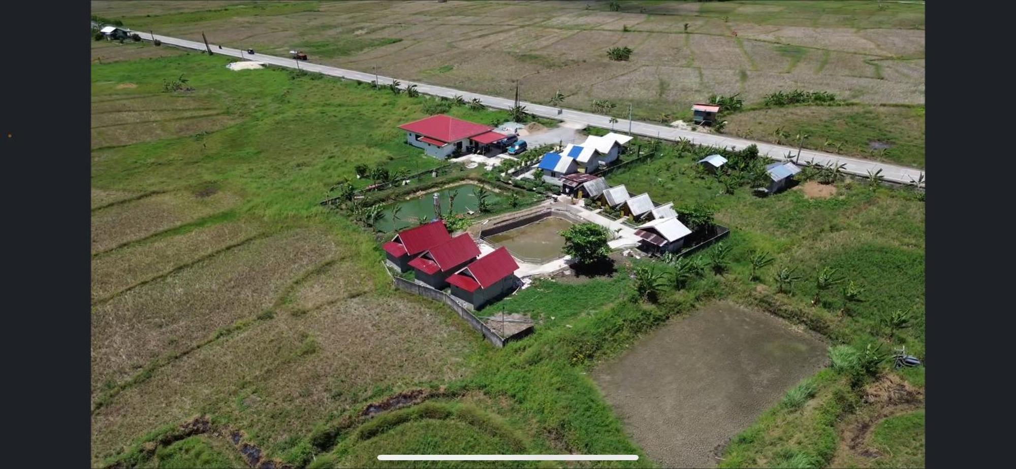Jazz Ferme Inn Batuan Bohol Exteriér fotografie