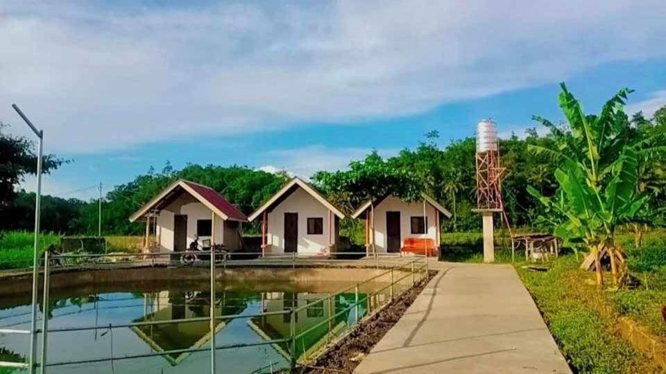 Jazz Ferme Inn Batuan Bohol Exteriér fotografie